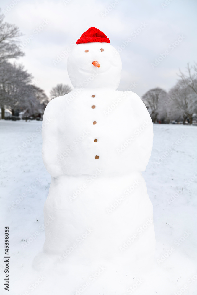 Obraz premium Snowman