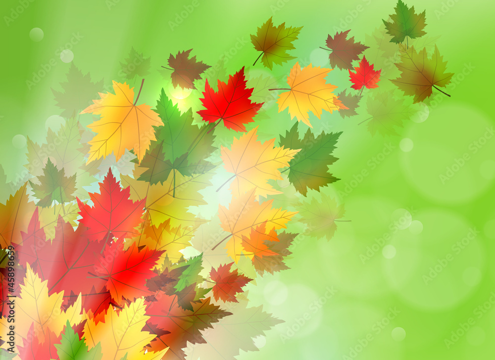 Vibrant Autumn Maple Leaf Background Vibrant Autumn Maple Leaf Background