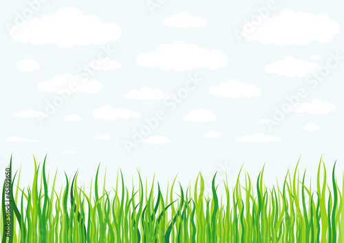 grass clouds and sky background