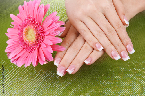 Woman hands with french manicure and flower on green background