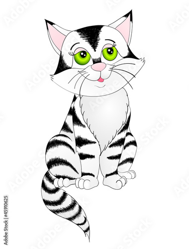tabby cartoon