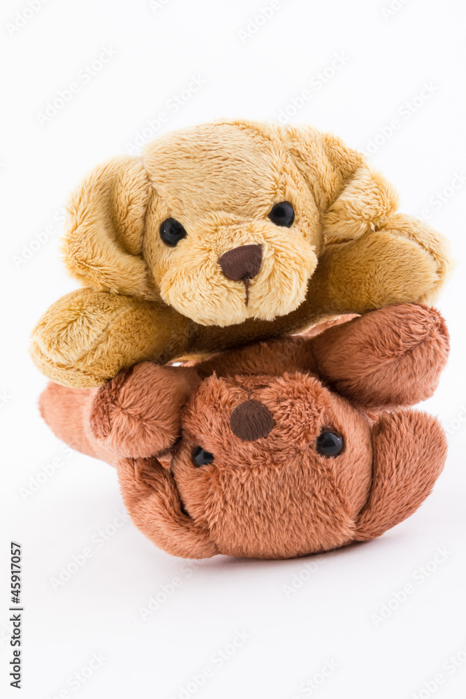 Duo de peluches de chiots