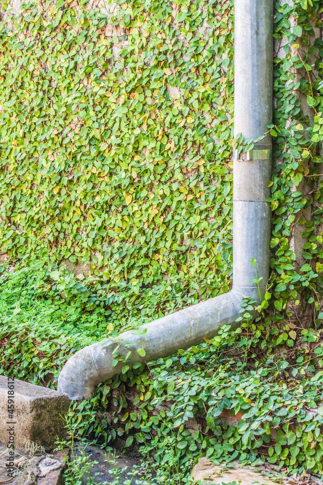Rain gutter Rain gutter