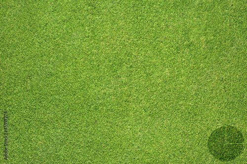 Pie chart on green grass texture and background