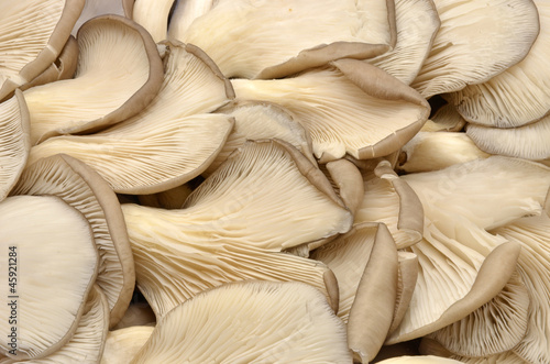 Edible mushrooms chopped