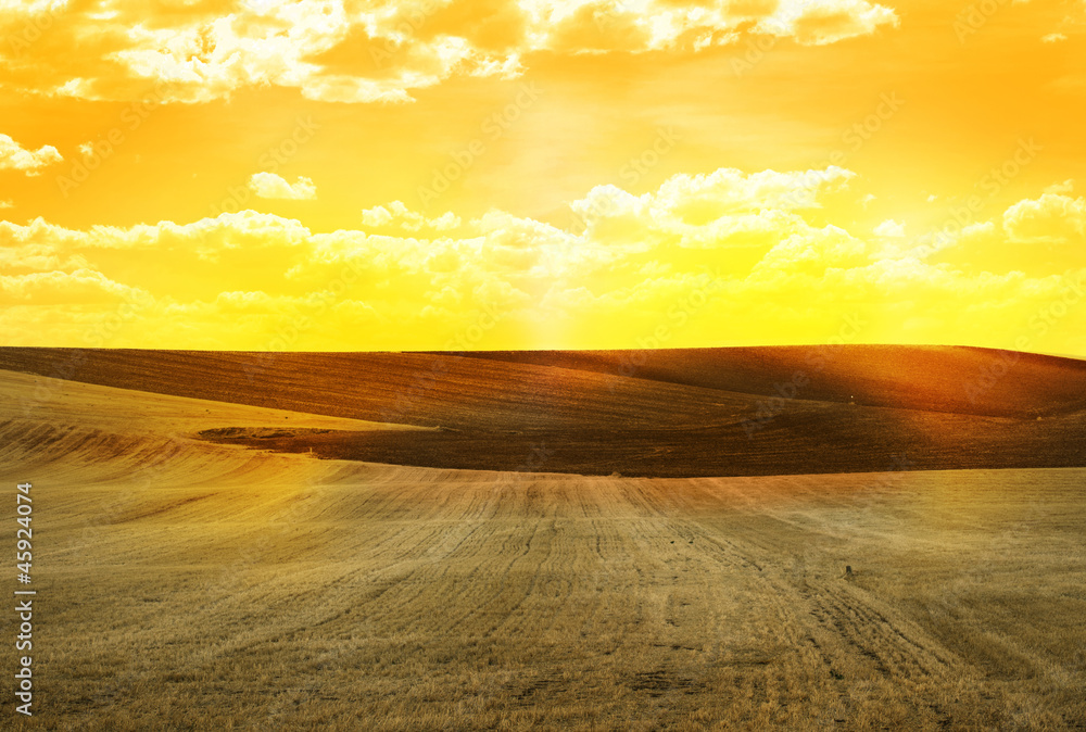 Obraz premium Agricultural land