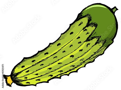 Illustration of a cucumber on white background