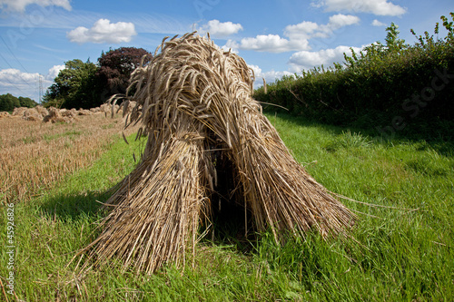 Corn Stacks