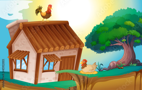 hens and house