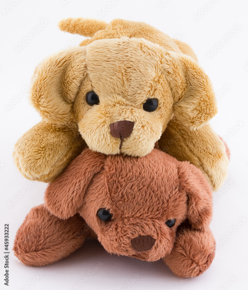 Fototapeta premium Duo de peluches de chiots