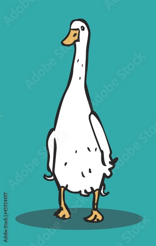 Funny duck