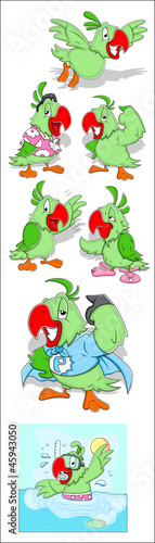 Parrot Illustration Vectors