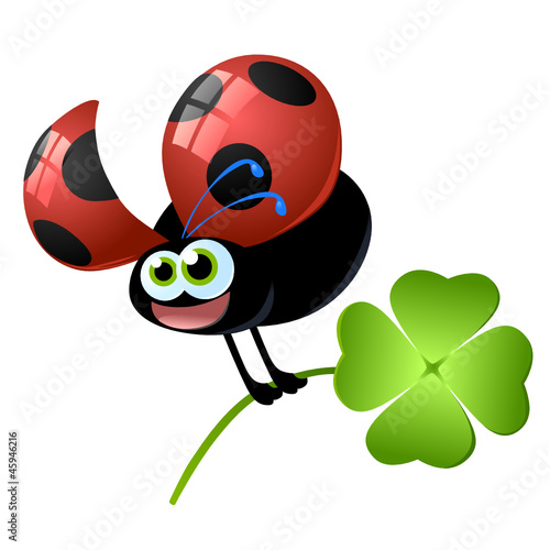 coccinella vector