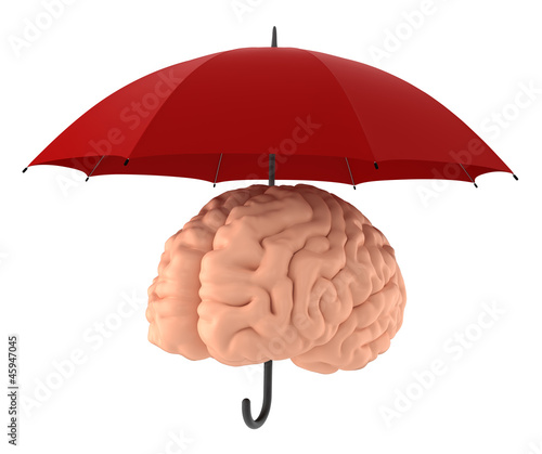 Brain - Sanity - Mind Protection. Include Clipping Path.