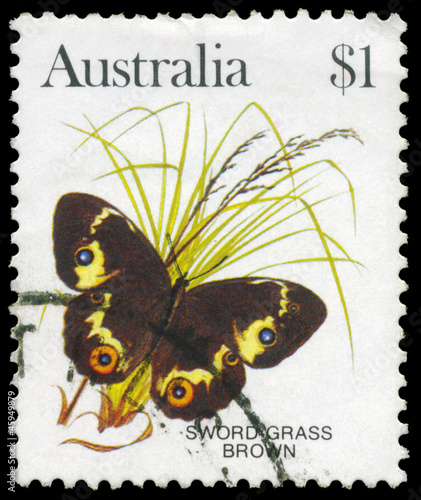 AUSTRALIA - CIRCA 1983 Swordgrass Brown photo