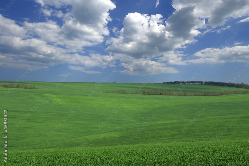 farmlands