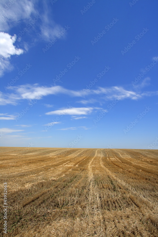 field field