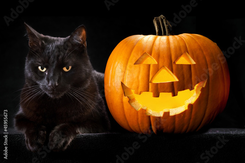 Halloween pumpkin black cat © kikkerdirk