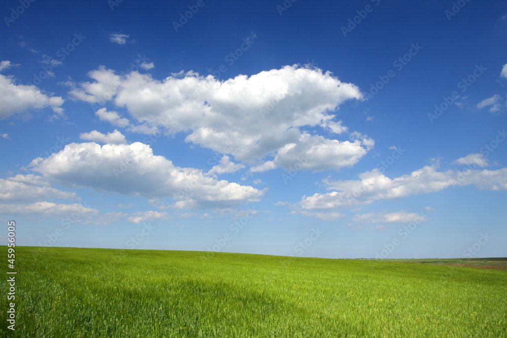 farmlands farmlands