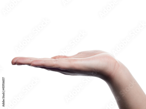 Woman hand presenting -flat- - isolated photo