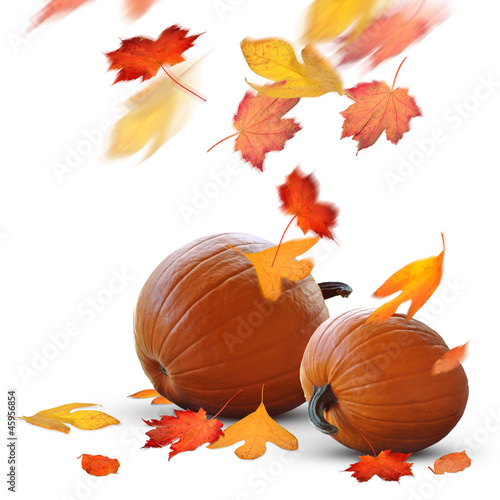 Autumn holidays scene of ripe pumpkins and falling leaves
