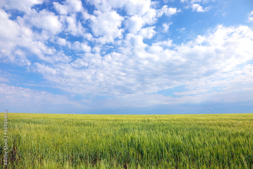 farmlands