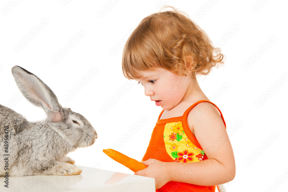 Little girl feeding rabbits carrots Little girl feeding rabbits carrots