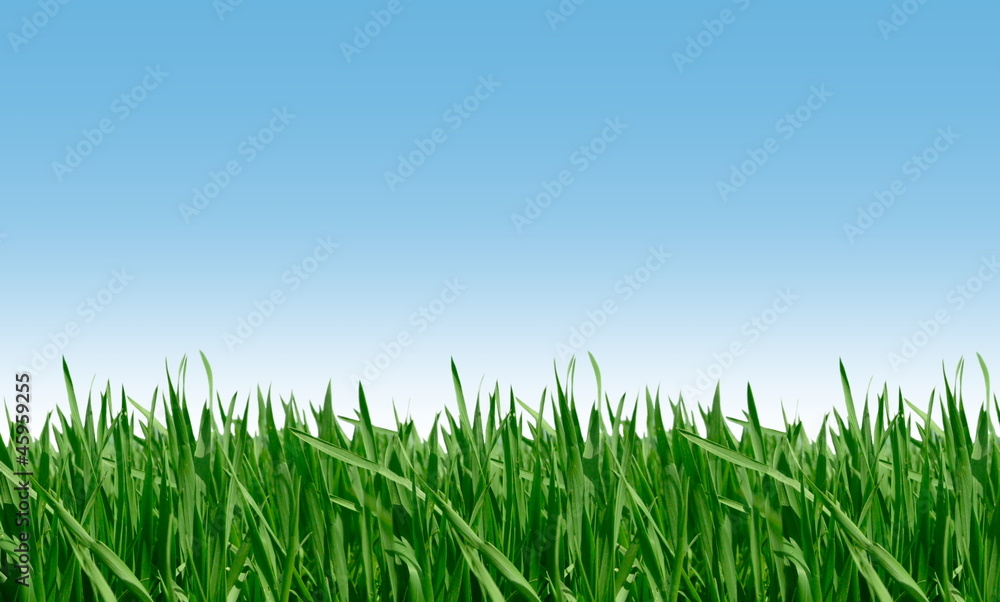 farmlands farmlands