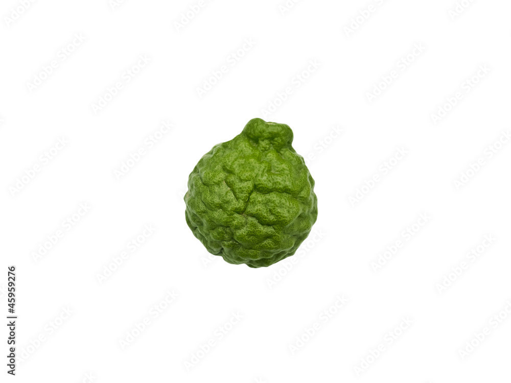 Fototapeta premium kaffir lime