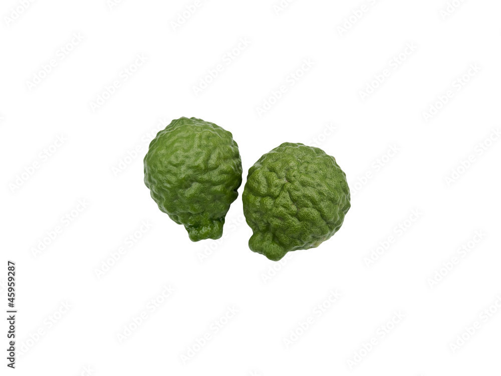 Obraz premium kaffir lime