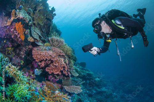 diver with healthy colourful coral photo