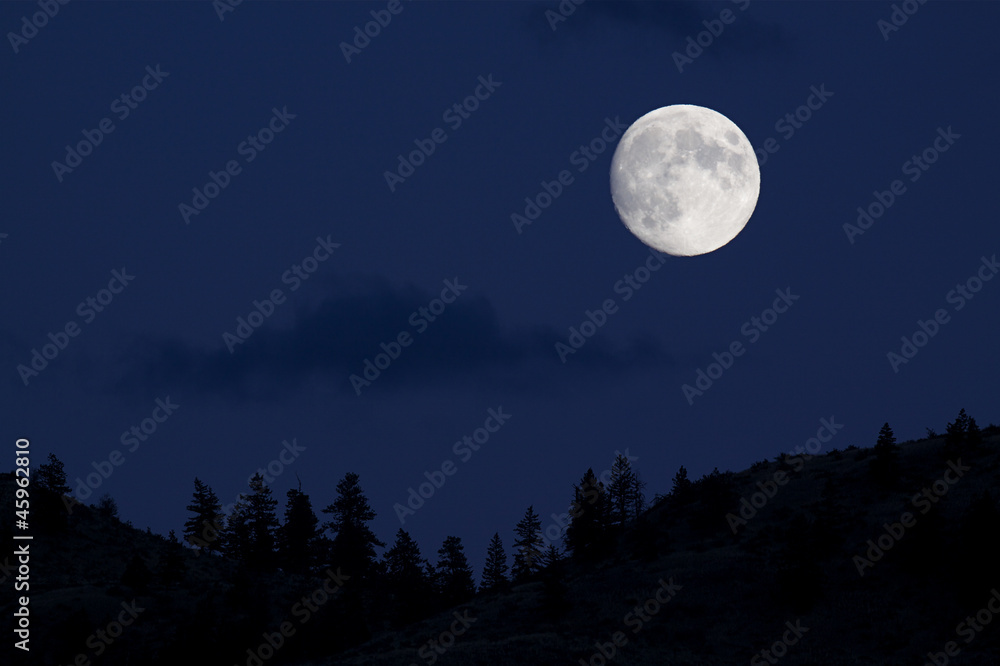 Full Moon over Pine Trees silhouette with midnight blue sky Full Moon over Pine Trees silhouette with midnight blue sky