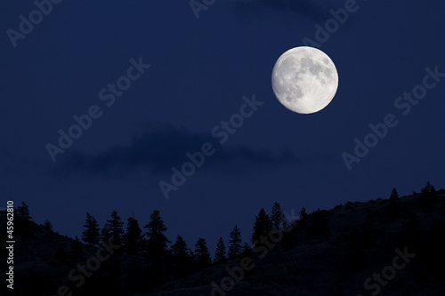 Full Moon over Pine Trees silhouette with midnight blue sky