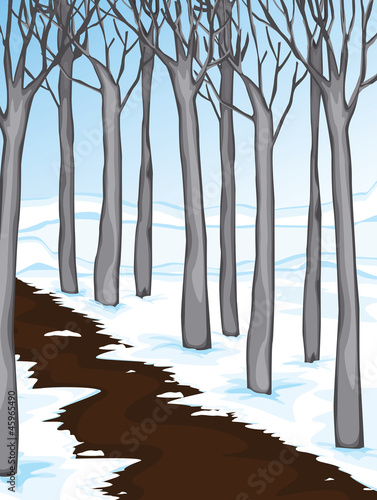 snow covered woodland