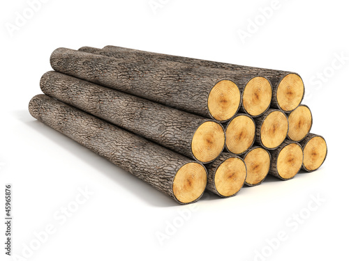 stacked tree logs