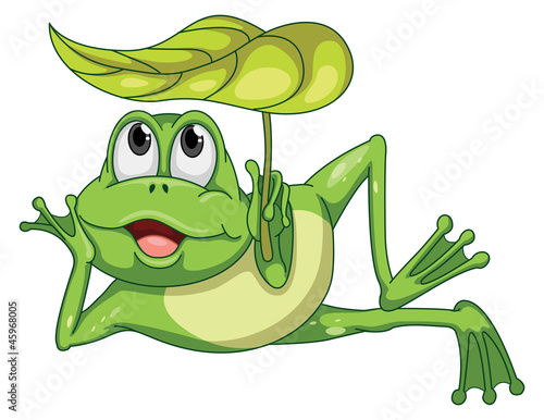 green frog and leaf