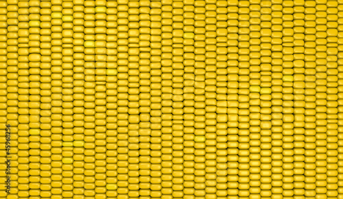 corn background