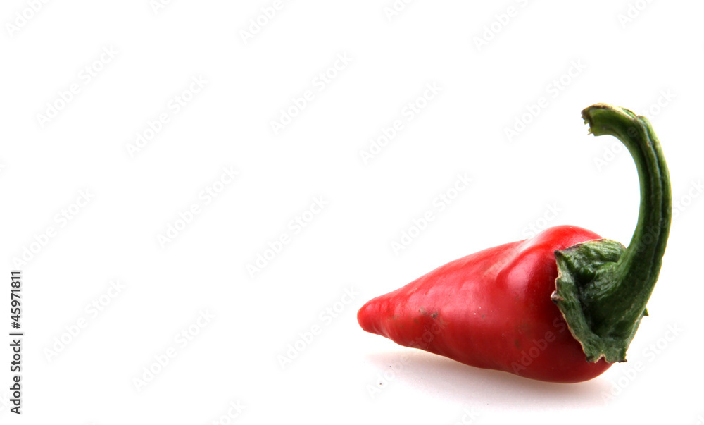 fresh red hot pepper on a white background. fresh red hot pepper on a white background.