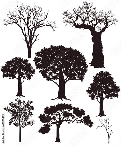 Baum Silhouetten