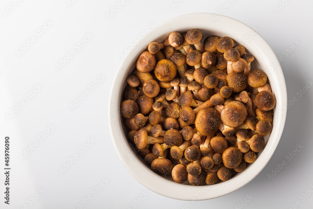 Ciotolina con Funghi Chiodini Ciotolina con Funghi Chiodini