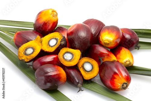 palm oil