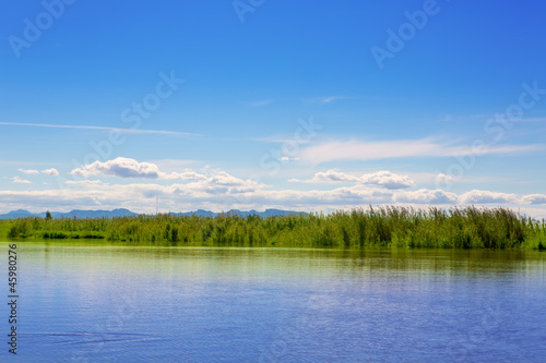 Albufera lake in Valencia in a sunny blue day photo