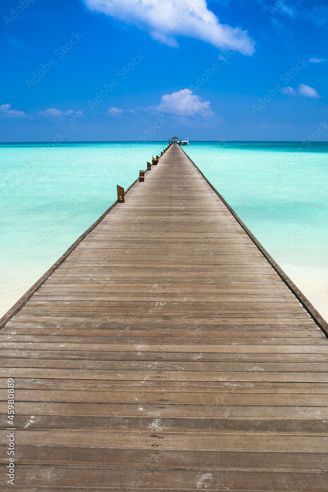 jetty to the horizon