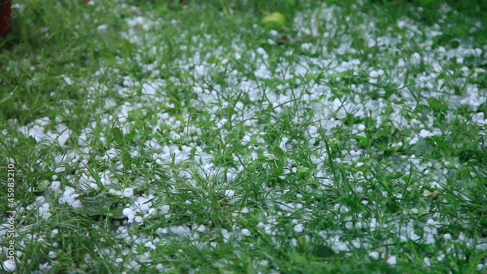 Hails falling on the grass Hails falling on the grass
