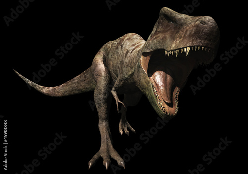 Tyrannosaure de face  gueule ouverte  fond noir