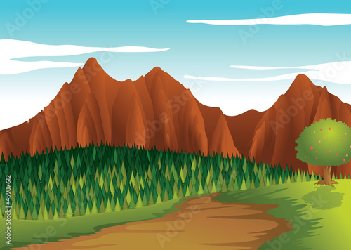 landscape