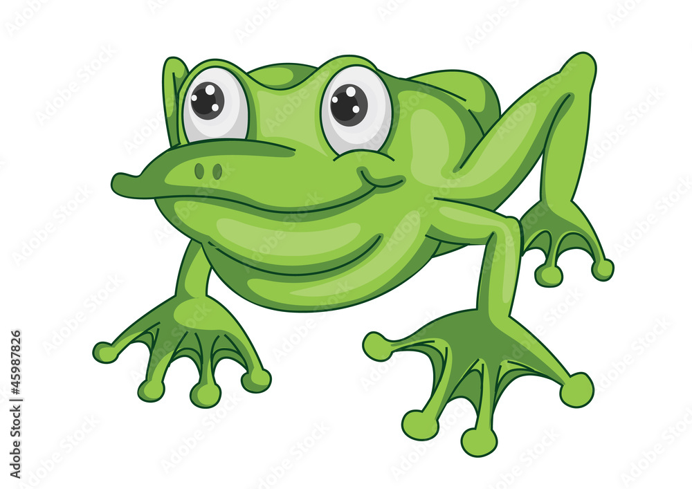 Fototapeta premium a green frog