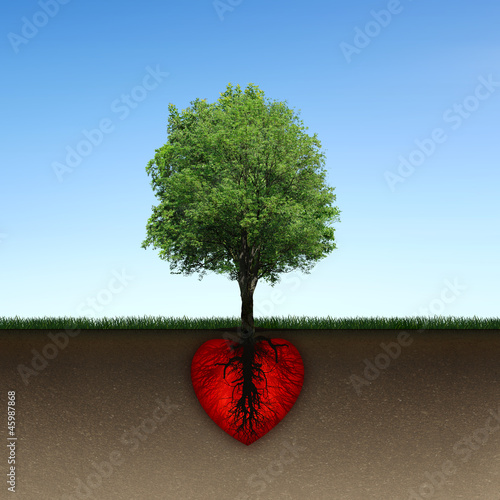 Tree and root of red heart