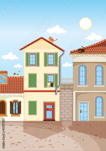 house colony and cats