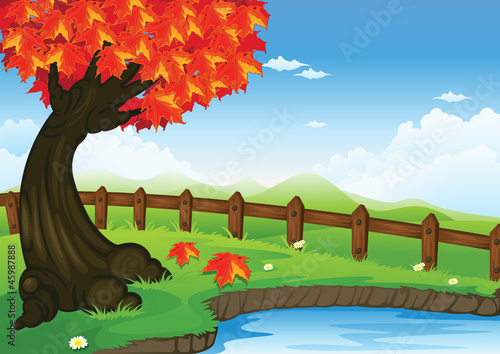 tree in a beautiful nature